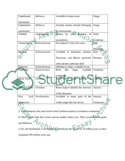 Characteristics of Paleozoic Fossils