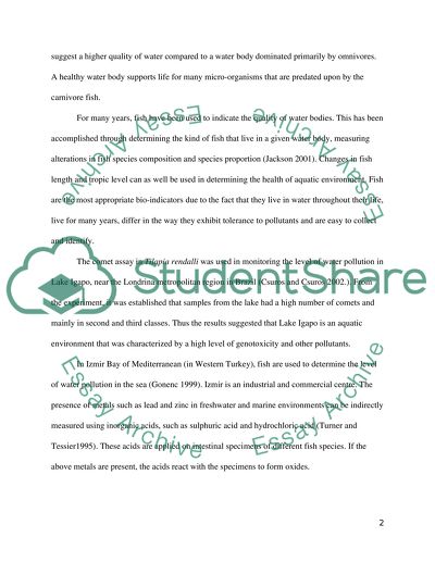 The Major Concerns in Environmental Conservation