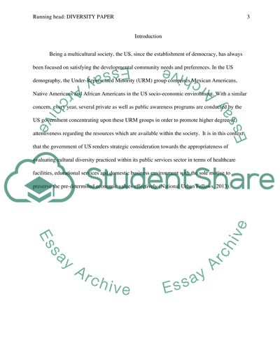 Cultural diversity issues: racial and ethnic differences