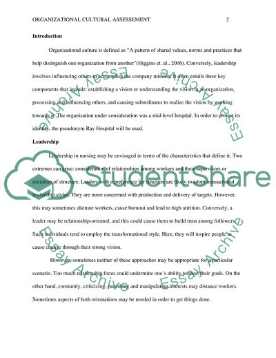Organizational Cultural Assessment: Ray Hospital