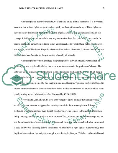 Animal rights. What rights should animals have