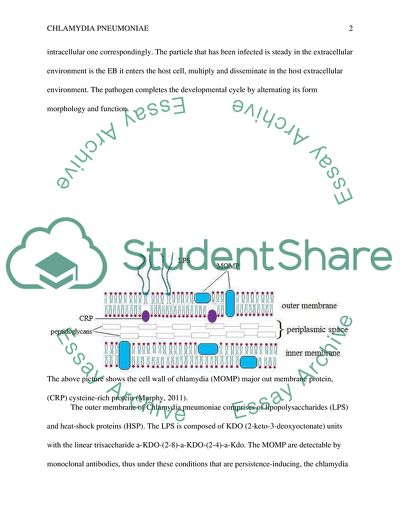 Chlamydia Pneumoniae Pathogen