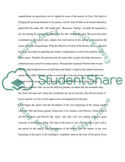 The Representation of Nature in the Poems Spring and The Prelude