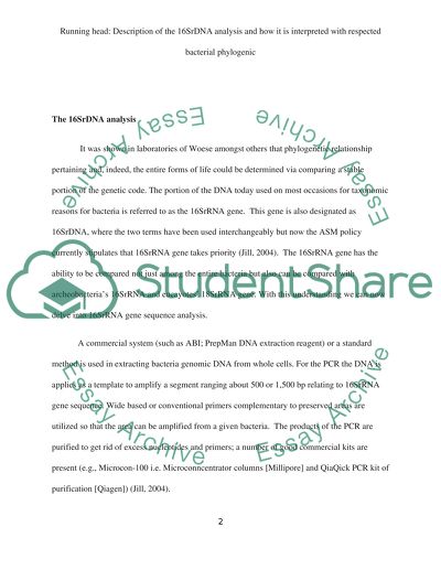 Describe the 16SrDNA analysis and how it is interpreted with respected bacterial phylogentic