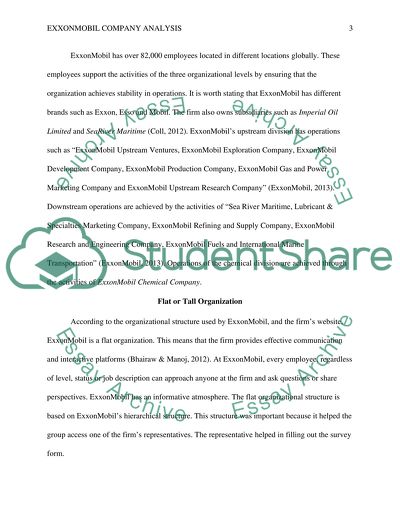 ExxonMobil Company Analysis