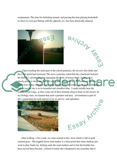 The Image of Todays Walk