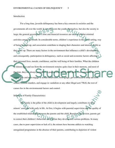 Environmental Causes of Delinquency