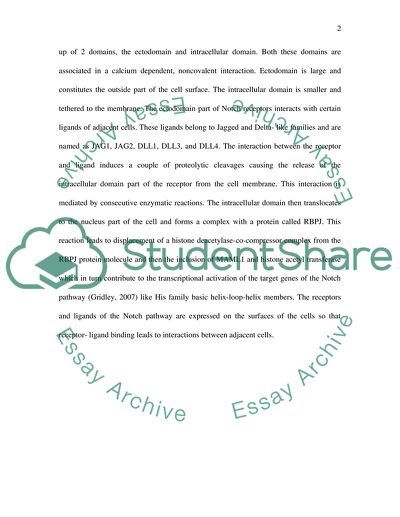 Role Of Notch Signaling In Oncogenesis