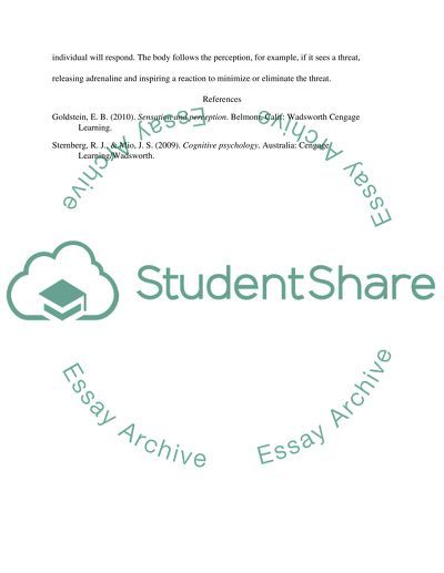 Theoretical Approaches to Perception