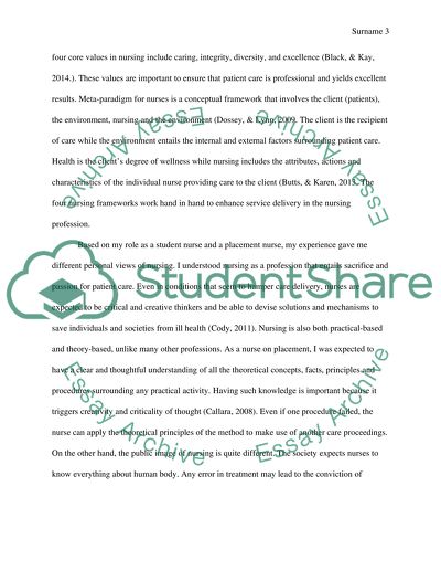 What is Nursing Entails