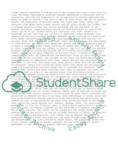 Why might one argue that the use of labour is the main component of a firms profit strategy