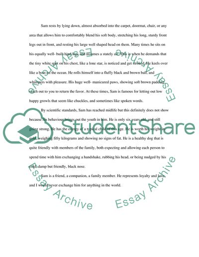 Family Pet German Sherpard named Sam