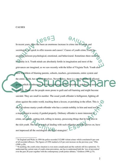 Distinctive Feature of Youth Justice Policy in the Late 20th
