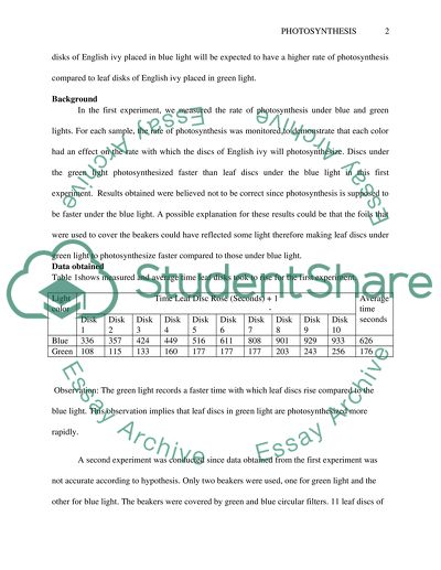 Photosynthesis Lab Report Essay