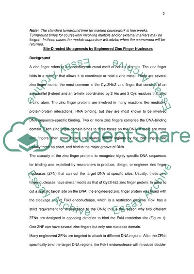 Zinc Finger Nucleases
