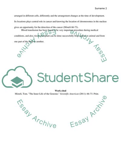 Week 4 reflection paper MAM