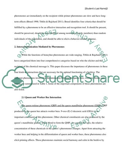 essay about secret garden nocturne mp3
