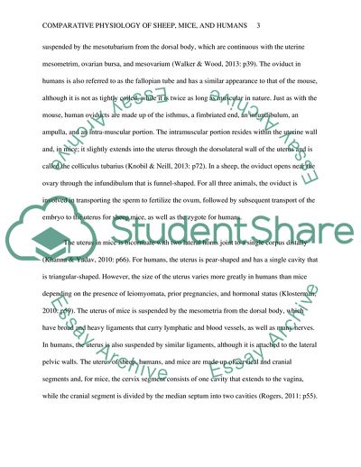Comparative Physiology of Sheep, Mice, and Humans