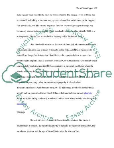 Types of Protein Defects That Can Be Associated with the Red Blood Cell