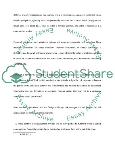 International Banking and Financial Markets, Foreign Currency Hedge