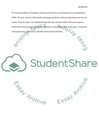 The Effect of Different Antibiotics on Gram-Negative Bacteria Culture