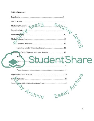 Thornton PLC Market Plan for Christmas Shopping Season