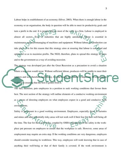 Organisation of the Human Resource Strategy at the Non-Governmental Organisation