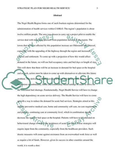 Strategic Plan for Negri Health Service