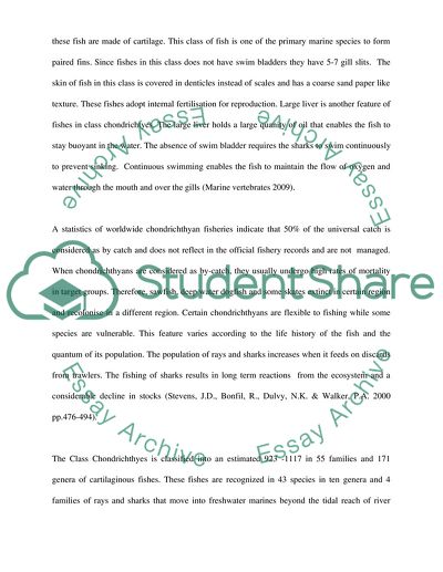 Collapse and Conservation of Shark Populations