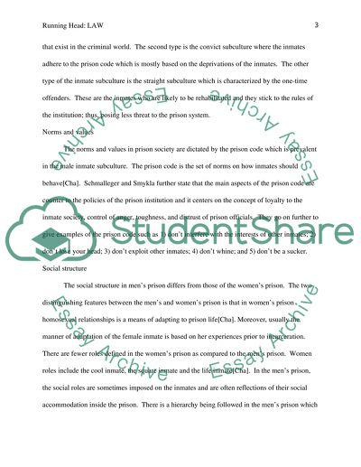 Prison Culture - Norms, Values, and Language in Prison Society