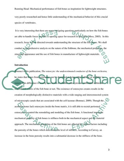 The Underestimated Conductor of the Bone Orchestra