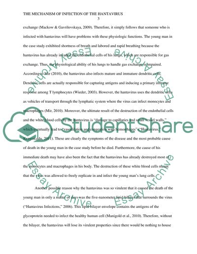The Mechanism of Infection of the Hantavirus