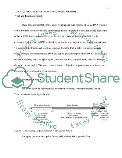 Inhibition of DNA processing in heavy metal carcinogenesis