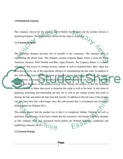 Marketing Analysis for David Babaii Company