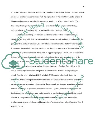 The Effects of Hippocampal Damage