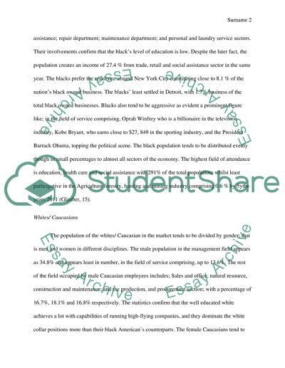 The Economic Impact of Race and Gender in Relationship to differences Occupations