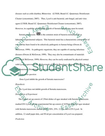 Effect of Lysol on Serratia Marcescens