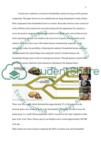 Study of Genomes of Modern Humans and Neanderthals