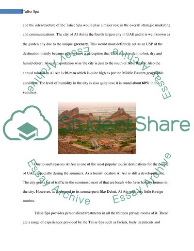 Market Analysis of Talis Spa