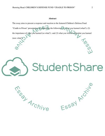 Childrens Defense Fund Cradle to Prison