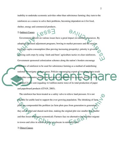 The Problems and Main Causes of the Amazon Rain Forest