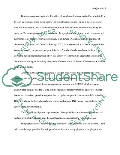 Capture, Processing, and Presentation of Exogenous Antigen by Dendritic Cells