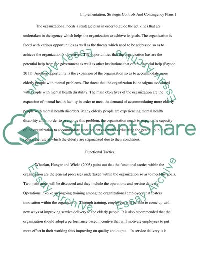 Implementation, Strategic Controls, and Contingency Plans