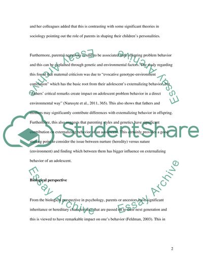 Externalizing Behavior of an Adolescent