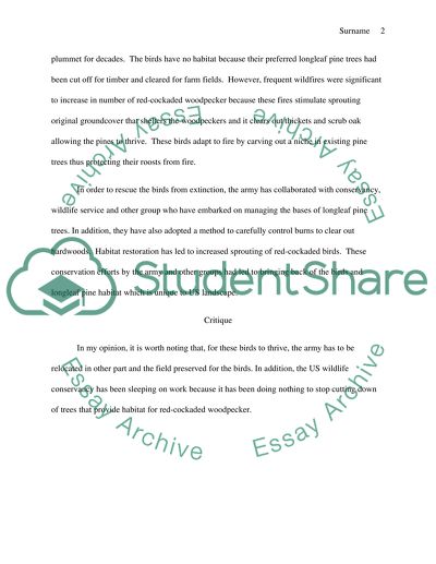 Operation Knock on Wood: One of the largest species-restoration efforts takes flight