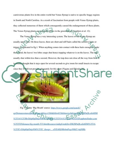 carnivorous plant research paper