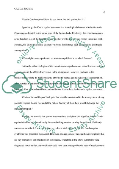 Decisive Evaluation of the Cauda Equina Syndrome