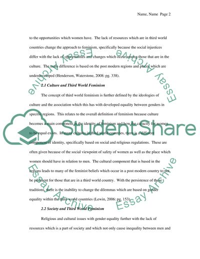 Analysis of the Principles of Third World Feminism