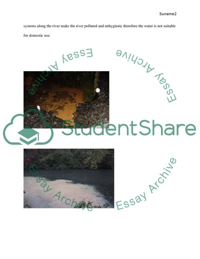 Water Pollution Essay Example Topics And Well Written Essays Water Pollution Help Filling In A Business Plan also Spm English Essay Who Will Write Assignment