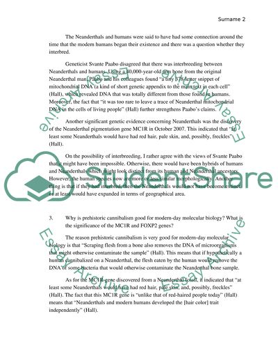 Anthropology (Last of the Neanderthals)